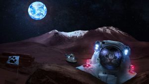 Read more about the article The Catonauts 2