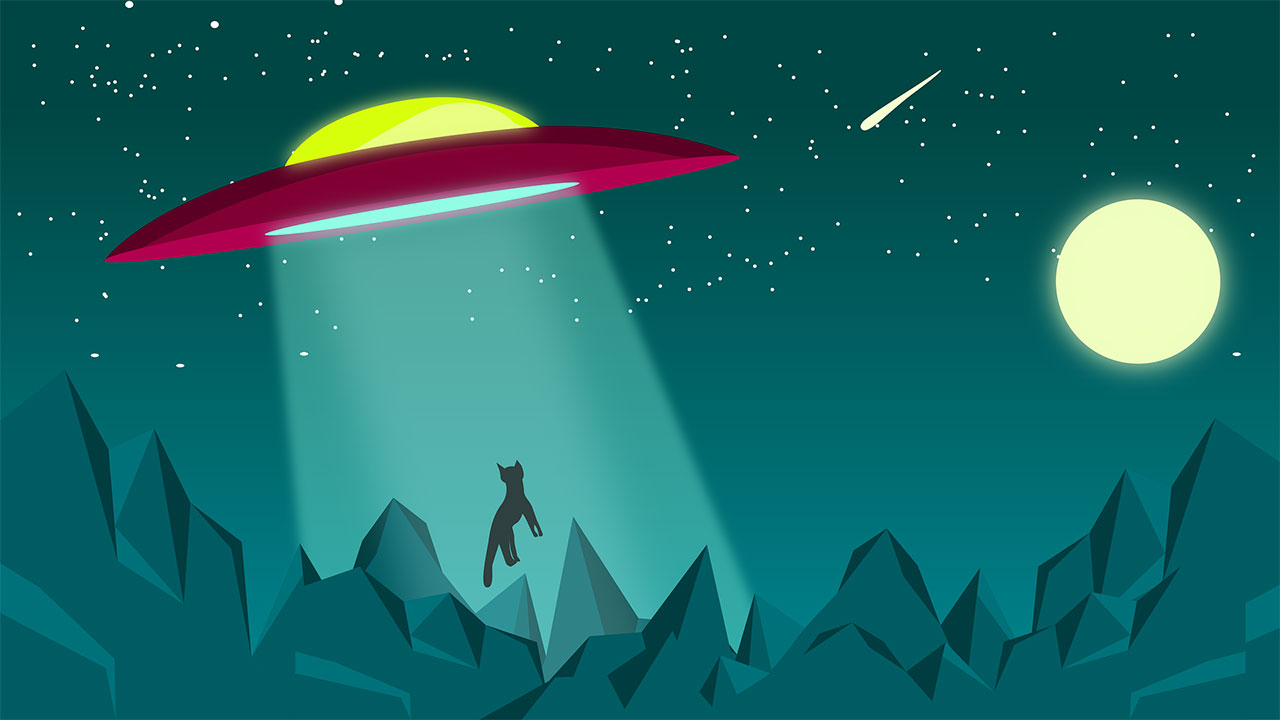 You are currently viewing Attack On Catland